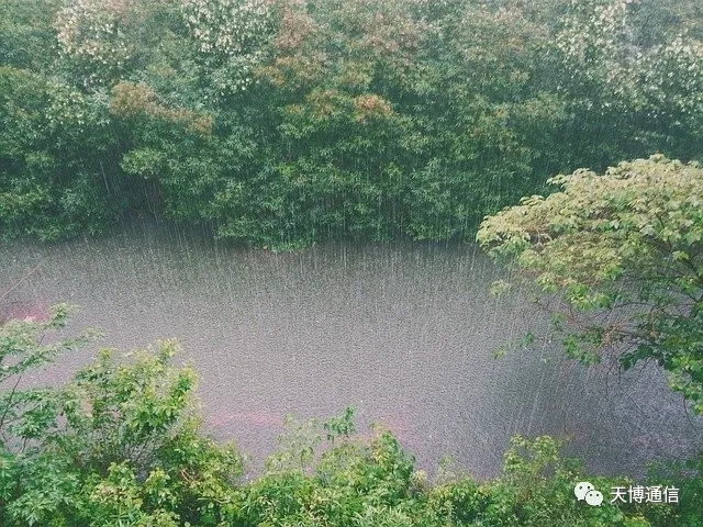 郑州遭受极端暴雨袭击：暴雨洪涝过后，这件防疫措施务必要做好